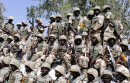 Nigerian Troops and the Malian Crisis: Matters Arising