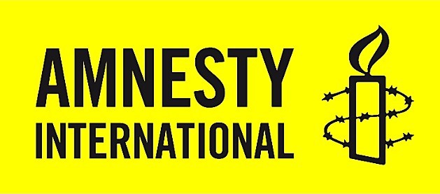 Amnesty decries absence of probe into Nigeria’s murder cases