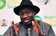 Boko Haram Amnesty Committee: President Jonathan goofed