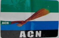 ACN accuses PDP, Presidency of hijacking National Youth Council of Nigeria