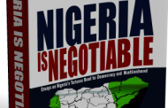 To Negotiate Nigeria - Book review