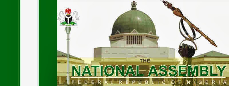 How much have you spent on the constitution review? Nigerian youths ask the National Assembly