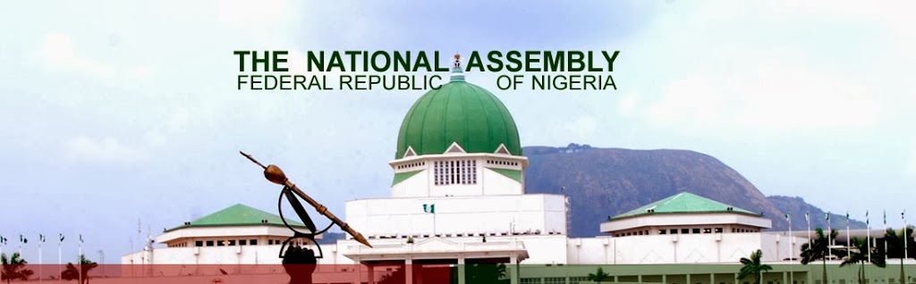 The National Assembly – what role in this National Conference process