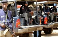 Nigerian Police: Now armed wing of PDP – Progressive Governors Forum