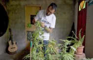 Uruguay: Yes we cannabis