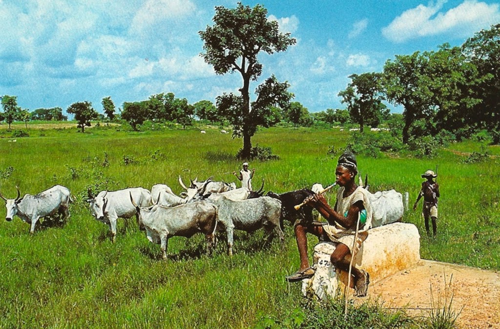 Fulani herdsmen and their host communities: A stitch in time saves nine