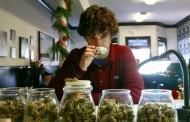 US: States with medical marijuana record fewer opioid-related deaths, study finds