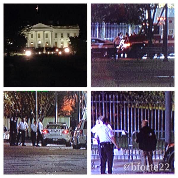 Dominic Adesanya, 23, in custody after jumping White House fence