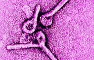 Texas health worker tests positive for Ebola