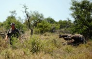 Mozambique charges journalists investigating rhino poaching