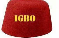 The Igbo Question: Chidi Odinkalu’s attempt at political demolition