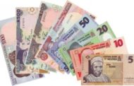 Nigerian govt must stop rejecting the naira as a legal tender