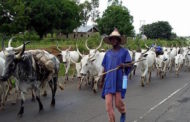 Fulani herdsmen and true federalism