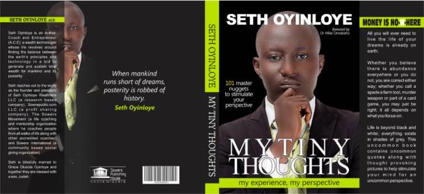 My Tiny Thoughts: 101 master nuggets to stimulate your perspective