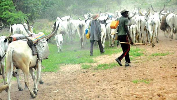 Pastoralist-farmers conflicts in Nigeria and the search for peaceful resolution