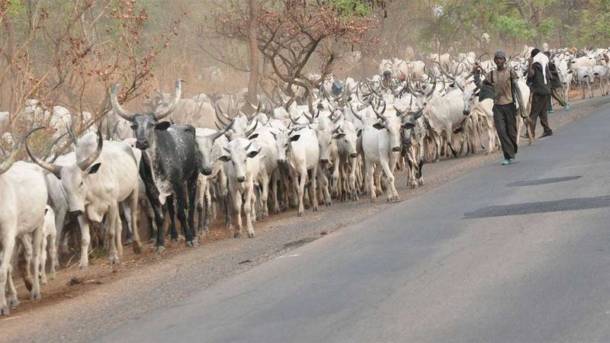 Nigeria’s herdsmen menace: A clear and present danger