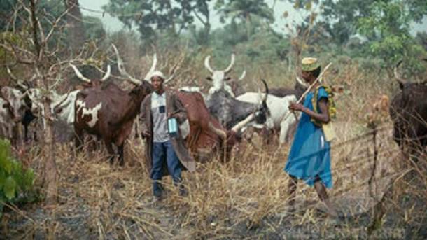 A response to Fani Kayode on killer herdsmen
