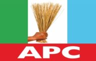 Democratic institution building and APC internal dynamics