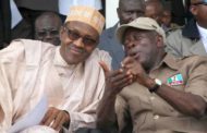 Buhari is not the sole APC candidate